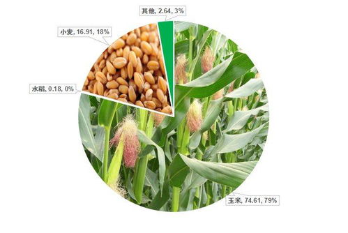 禾本科雜草（草）的識別與防治 基于中國農業(yè)大數(shù)據(jù)的洞察
